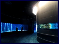 L'Oceanogràfic Oceanarium 014
